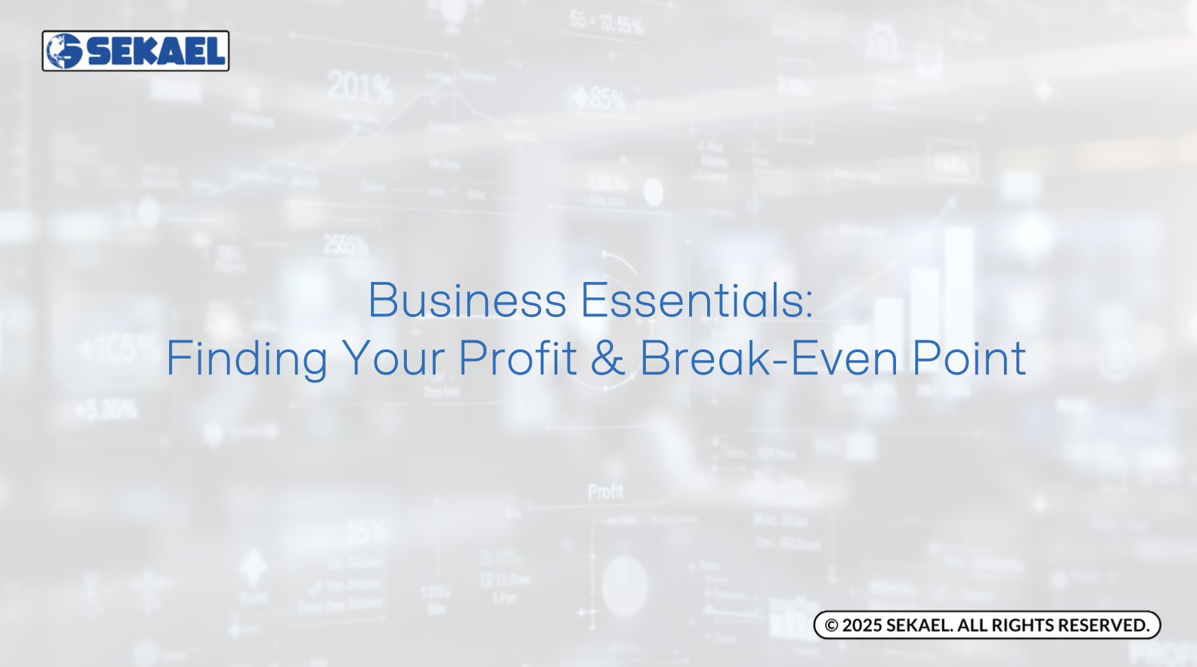 Service 97 Sales Page Picture 45